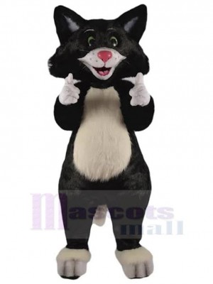 Glückliche schwarze Katze Maskottchen Kostüm Tier