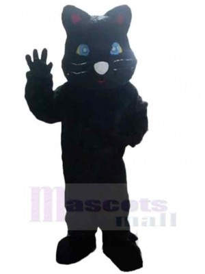 Schwarze Katze Maskottchen Kostüm Tier mit blauen Augen