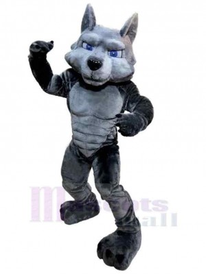 Kraft Muskel Grauer Wolf Erwachsene Maskottchen Kostüm Tier