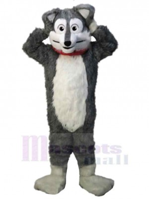 Niedlicher Cartoon grauer Wolf Maskottchen Kostüm Tier