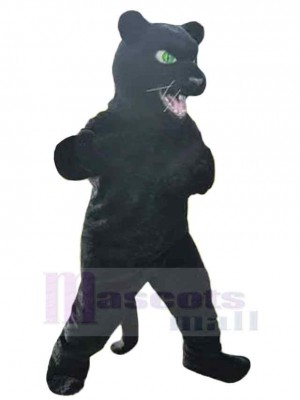 Grünäugiger Panther-Erwachsener Maskottchen-Kostüm Tier
