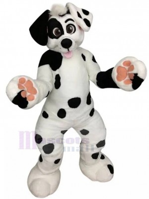 Neues Maskottchen-Kostüm für den schwarz gefleckten Dalmatiner Hund Fursuit