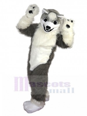 Pelzig Grauer und weißer Wolf Husky Hund Maskottchen Kostüm Tier