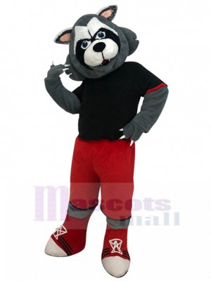 Sportlich Grauer Wolf Maskottchen Kostüm in roter Hose Tier