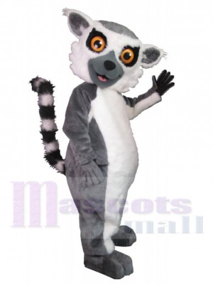 Süßer Tennessee Aquarium Lemur Maskottchen-Kostüm Tier