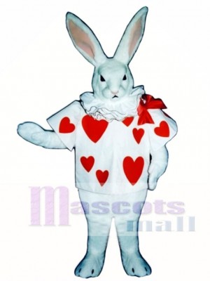 Niedliches weißes Kaninchen Ostern mit Jacket Maskottchen Kostüm Tier