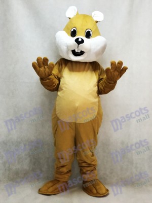 Molliges Eichhörnchen Maskottchen Kostüm mit weißem Bauch Tier