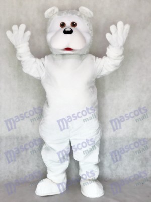 Adult Cute White Bear Erwachsene Maskottchen Kostüm Tier