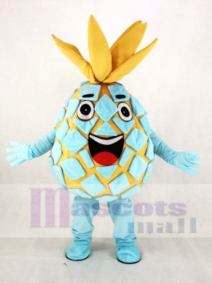 Aqua Ananas Pete Obst Maskottchen Kostüm Karikatur