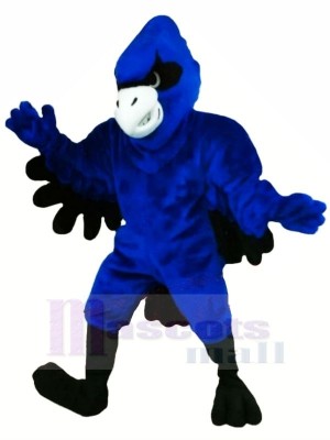 Blau Jay mit Schwarz Flügel Maskottchen Kostüme
