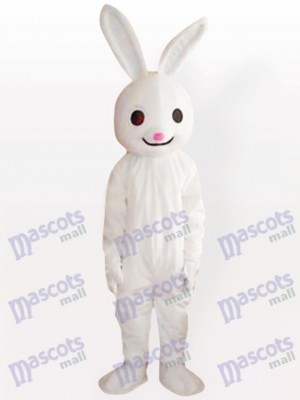 Rosa farbenes Nasen Osterhasen Kaninchen erwachsenes Tier maskottchen Kostüm