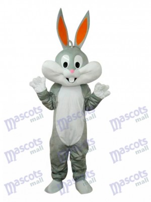 Ostern Kaninchen Bugs Bunny Maskottchen Erwachsene Kostüm Tier
