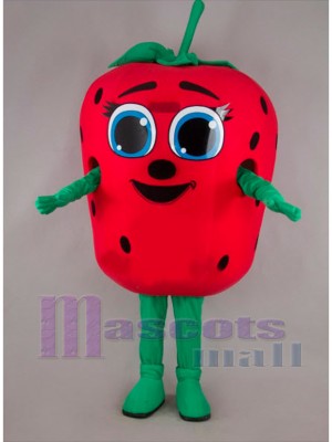 Erdbeere maskottchen kostüm