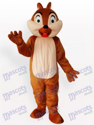 Eichhörnchen Boy Tier Maskottchen Lustiges Kostüm