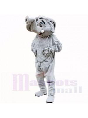 Grau Elefant Maskottchen Kostüme Erwachsene
