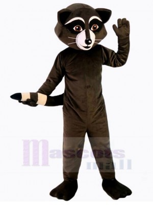 Schöner Waschbär Maskottchen-Kostüm Tier