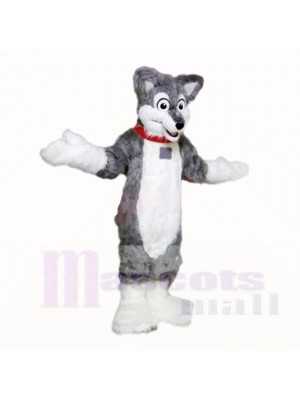 Grau Leicht Heiser Hund Maskottchen Kostüme Schule