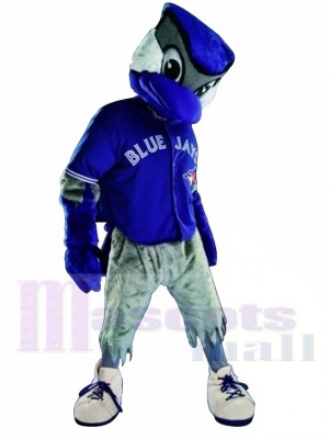 Blaues Hemd Toronto Blue Jay Maskottchen Kostüm
