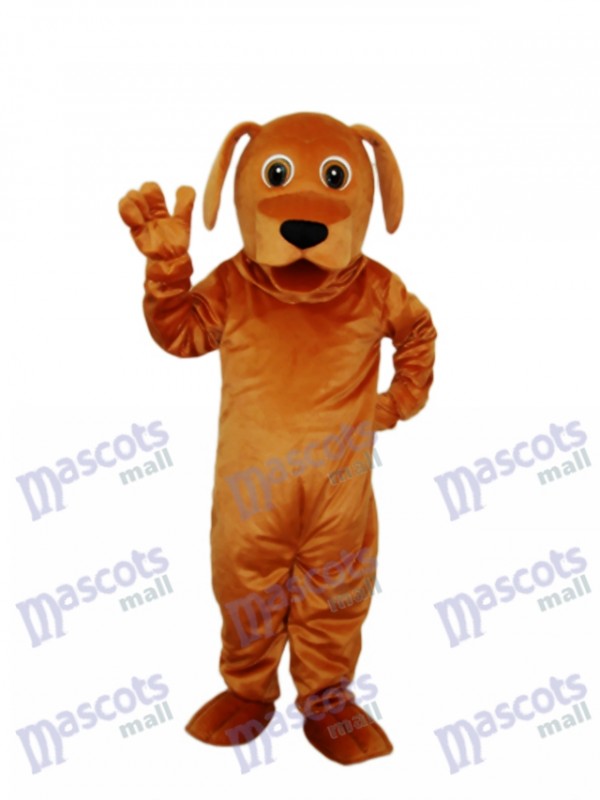 Golden Hund Maskottchen Erwachsene Kostüm Tier