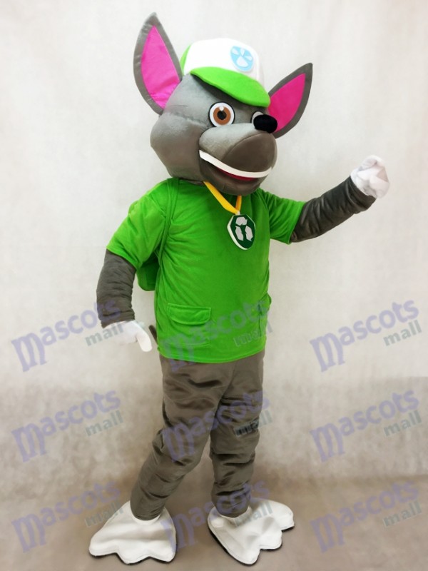 Paw Patrol Rocky Recycling Ökologie Welpen Maskottchen Charakter Kostüm Eco Pup
