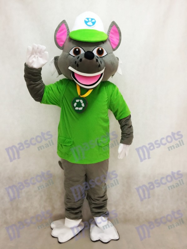 Pfote Patrol Recycling Ökologie Welpe Paw Patrol Rocky Maskottchen Kostüm Eco Pup