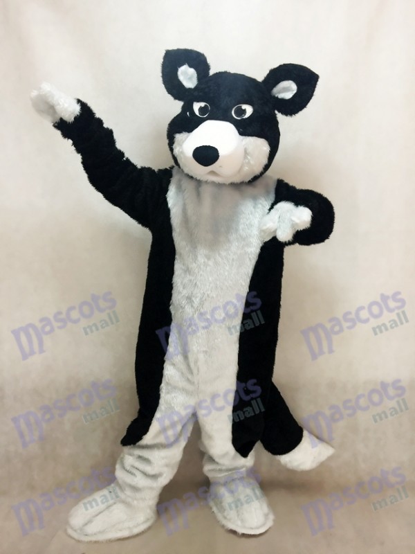 Schwarz-Weiß Border Collie Husky Hund Maskottchen Kostüm Tier