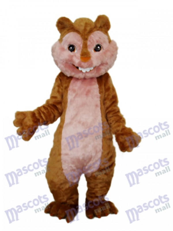 Gelbes Eichhörnchen-Maskottchen-erwachsenes Kostüm-Tier